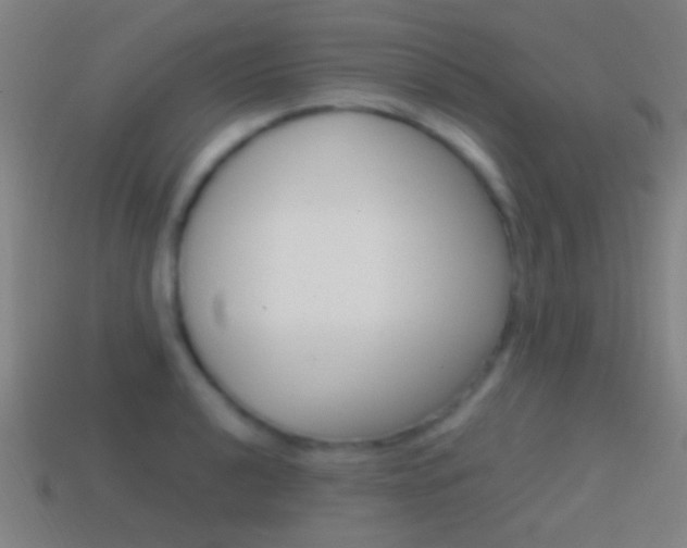 X0000114701040200910211005