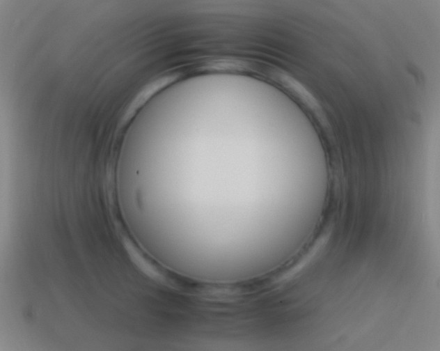 X0000114701041200910211005