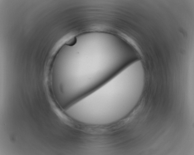 X0000114701042200910211005