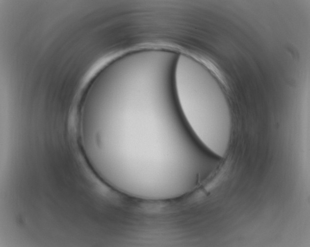 X0000114701046200910211005