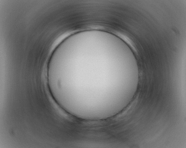 X0000114701047200910211005