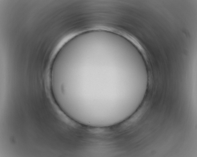 X0000114701048200910211005