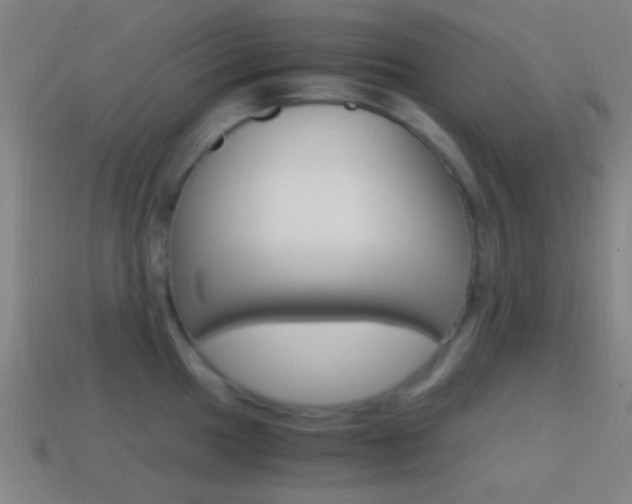 X0000114701049200910211005