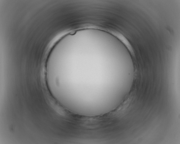 X0000114701051200910211005