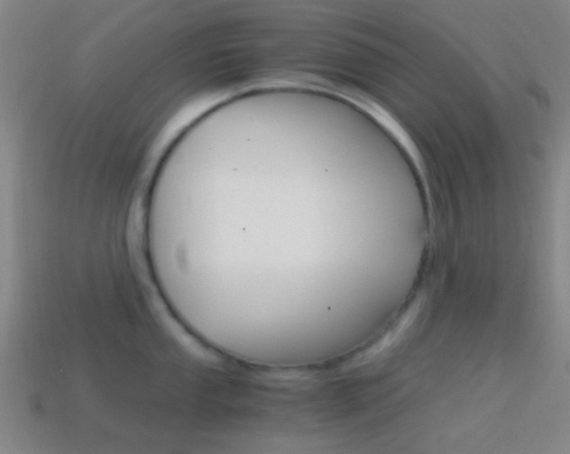 X0000114701053200910211005