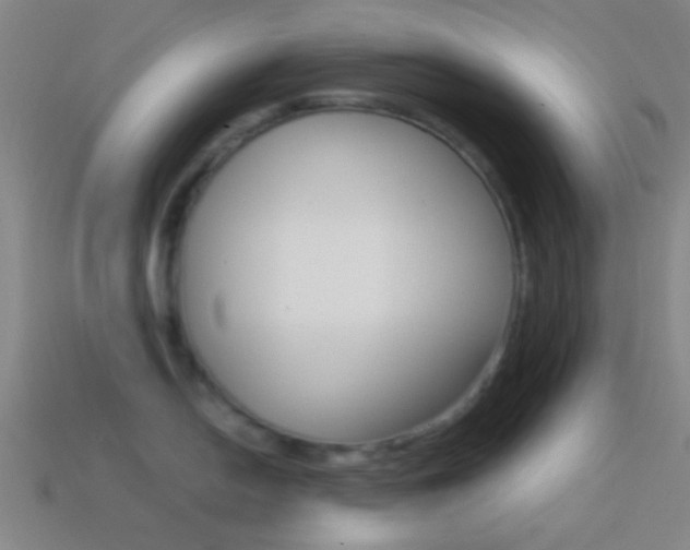 X0000114701054200910211005