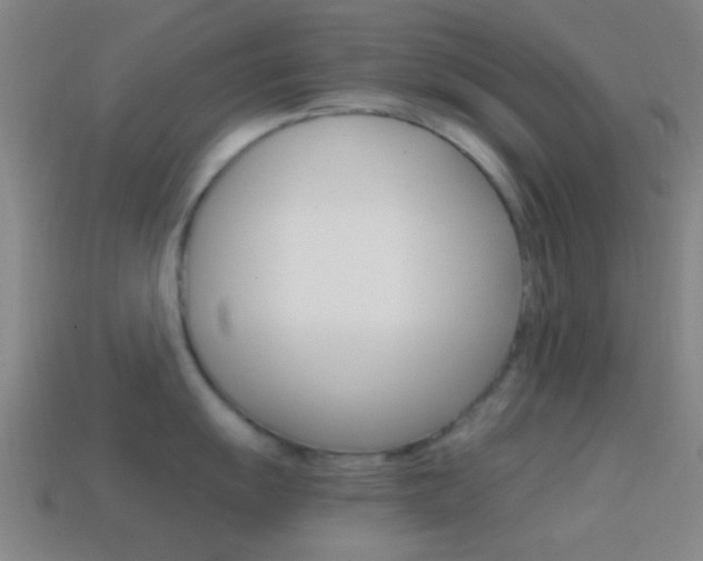 X0000114701055200910211005
