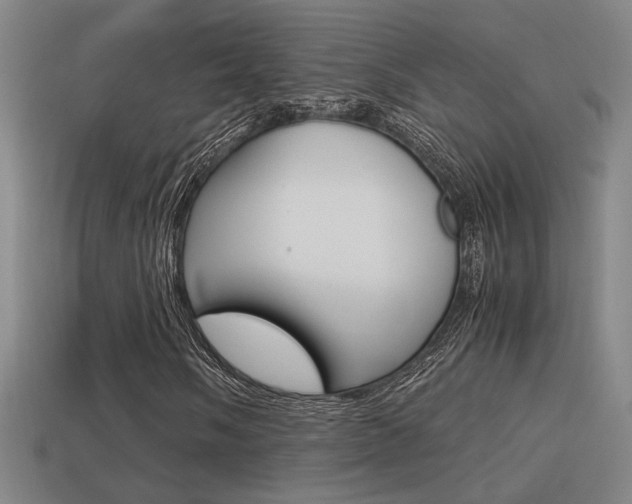 X0000114701058200910211004