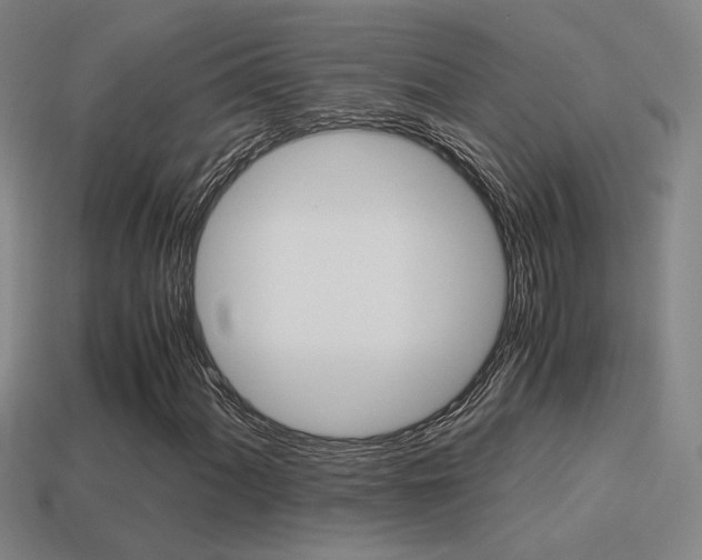 X0000114701060200910211004