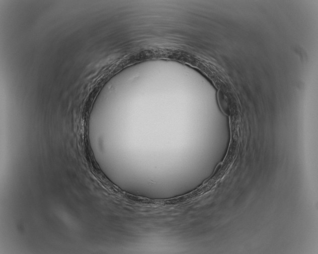X0000114701061200910211004