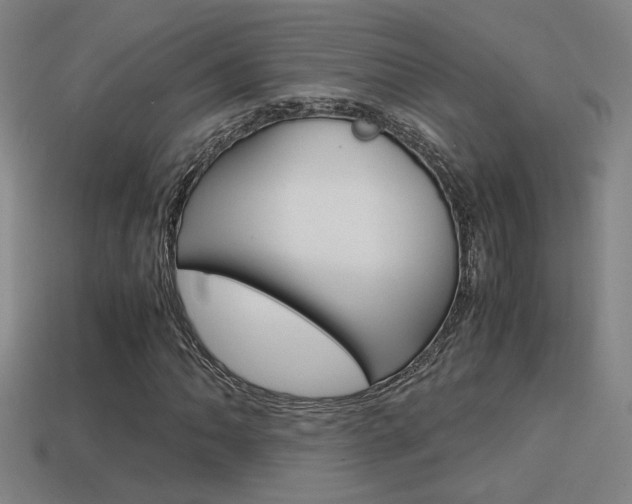 X0000114701062200910211004