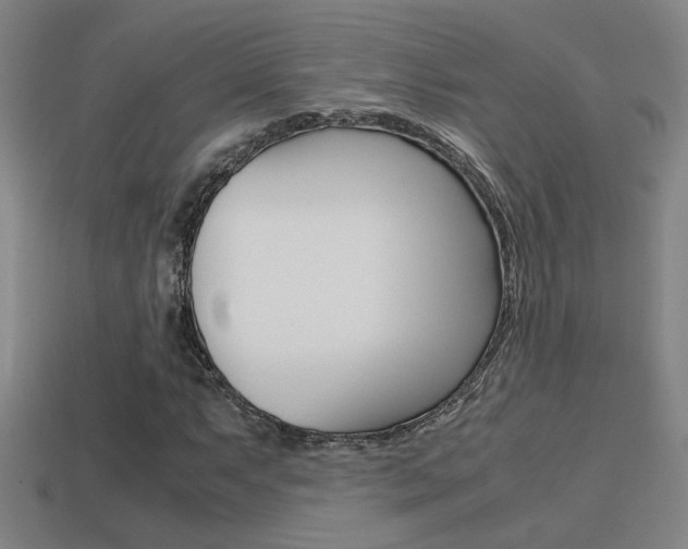 X0000114701063200910211004