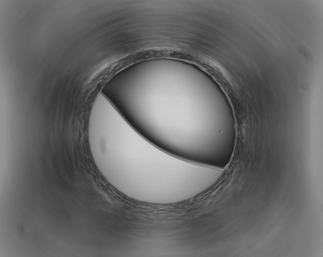 X0000114701064200910211004