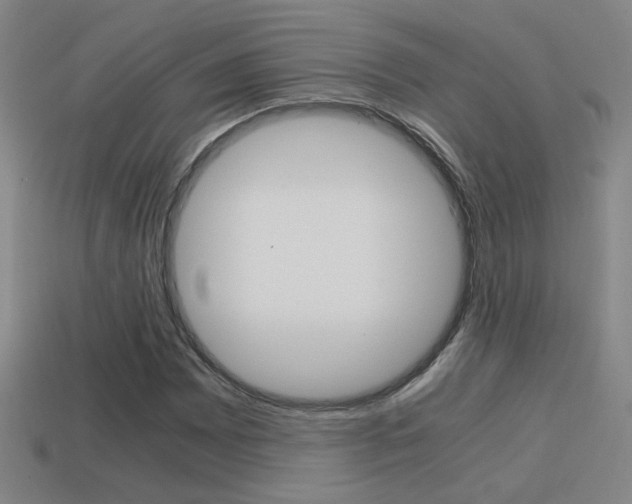 X0000114701065200910211004