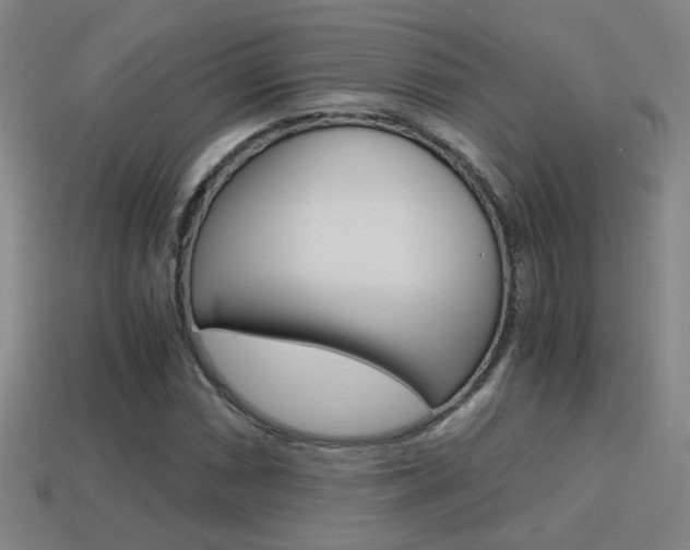 X0000114701066200910211004