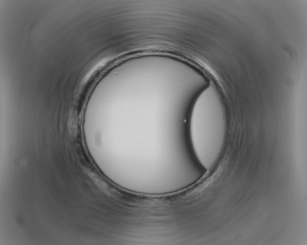 X0000114701067200910211004