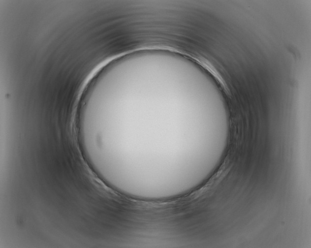 X0000114701068200910211004