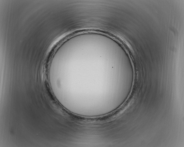 X0000114701069200910211004