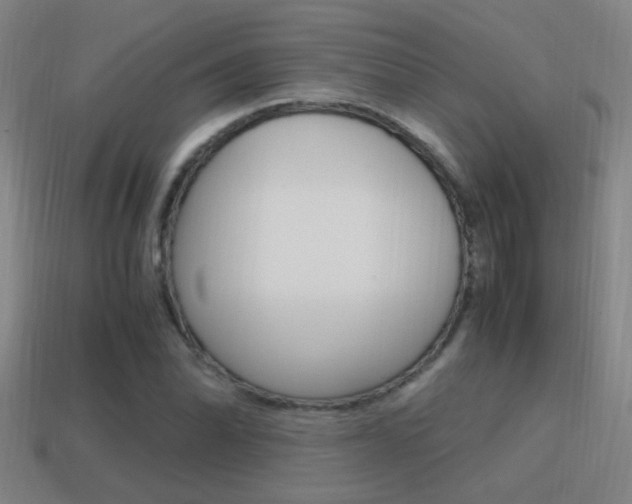X0000114701070200910211004