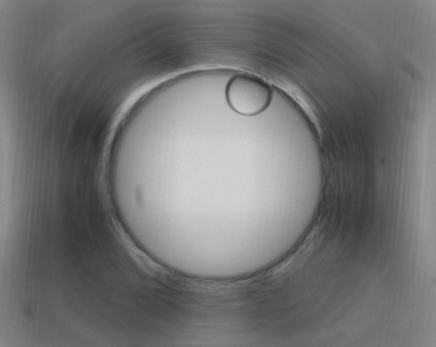 X0000114701072200910211004
