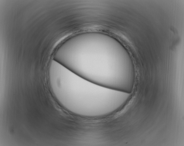X0000114701073200910211004