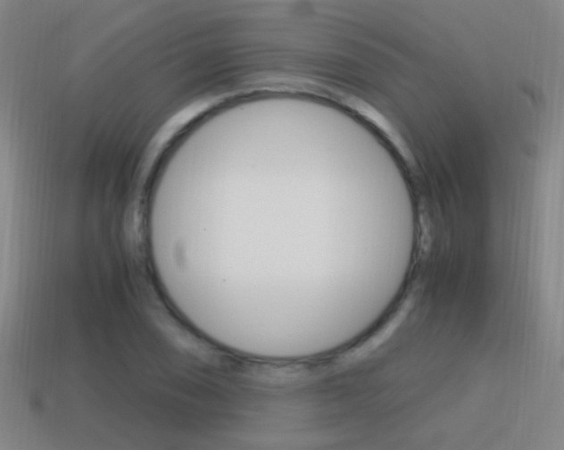 X0000114701074200910211004