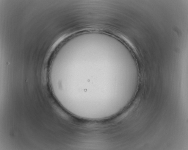 X0000114701075200910211004