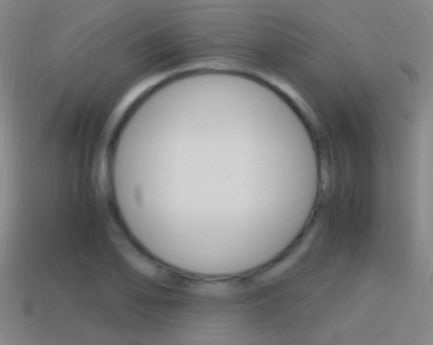 X0000114701078200910211004