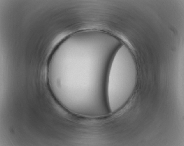 X0000114701079200910211004