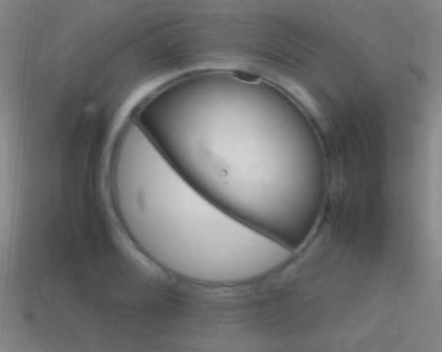 X0000114701080200910211004
