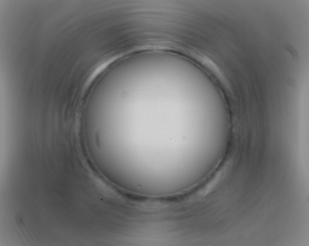 X0000114701081200910211004