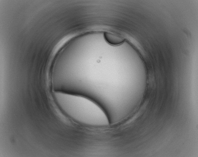 X0000114701082200910211004