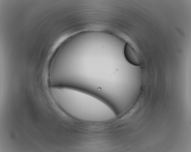 X0000114701083200910211004