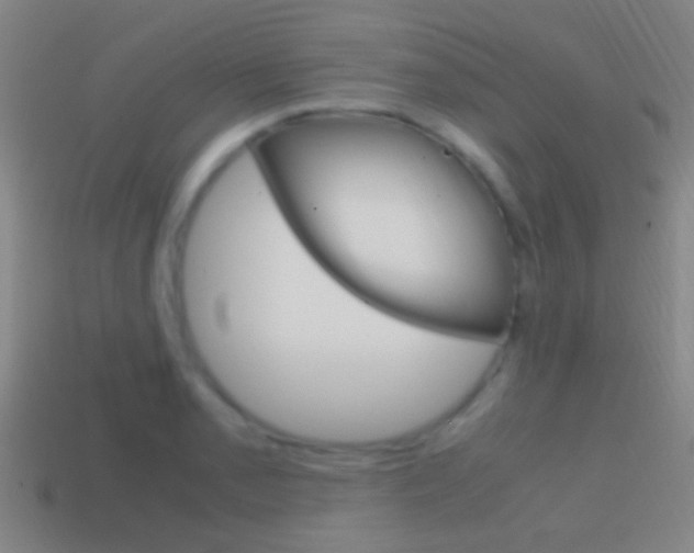 X0000114701085200910211004