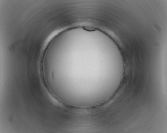 X0000114701086200910211004
