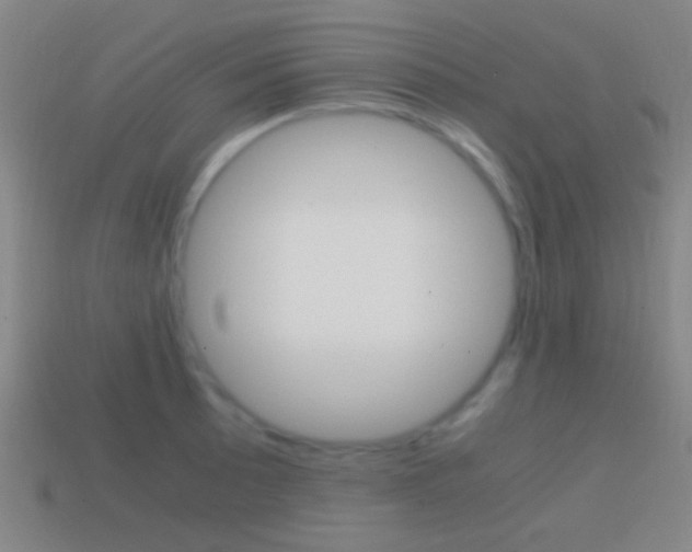 X0000114701089200910211004