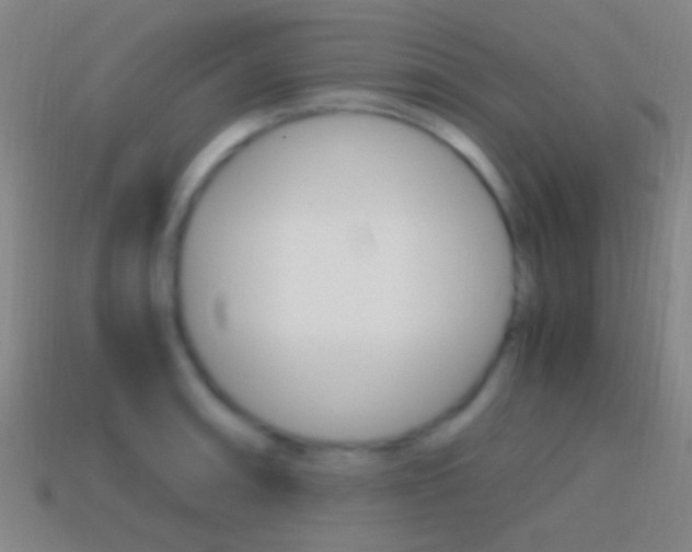X0000114701090200910211004