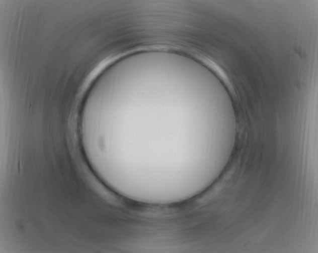 X0000114701091200910211004