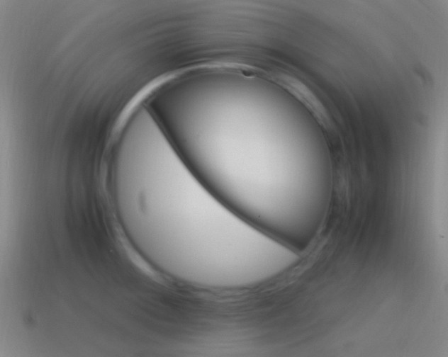 X0000114701092200910211004