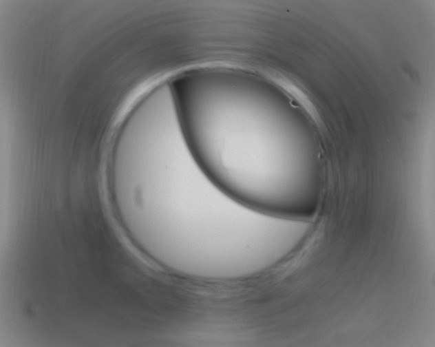 X0000114701093200910211004