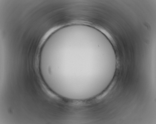 X0000114701094200910211004