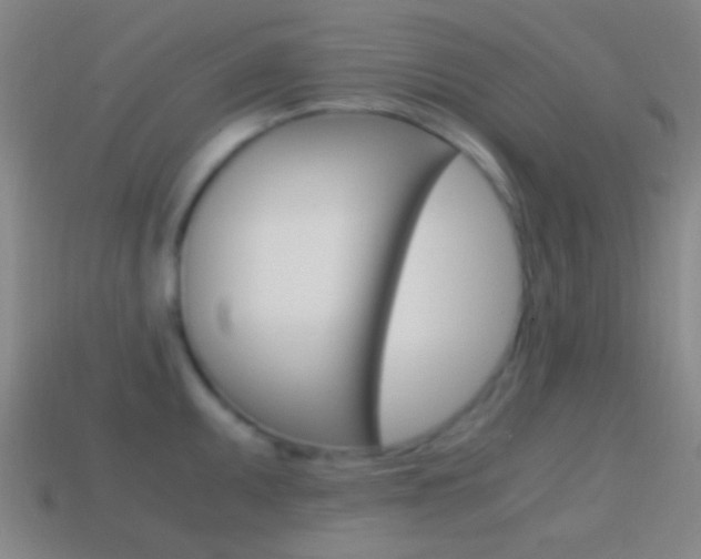 X0000114701095200910211004