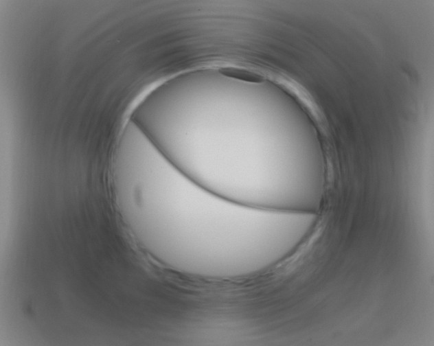 X0000114701097200910211004
