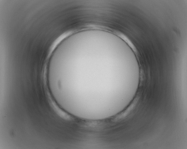 X0000114701098200910211004