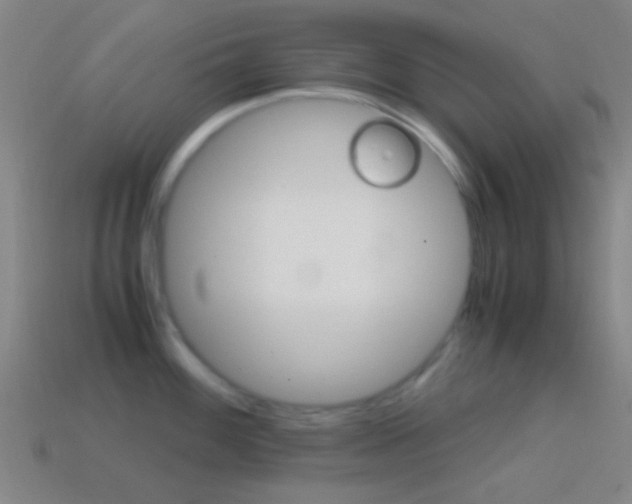 X0000114701100200910211004
