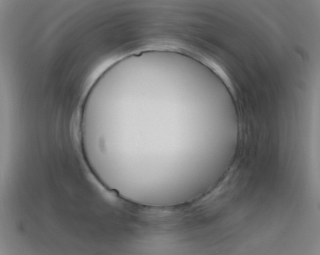 X0000114701103200910211004