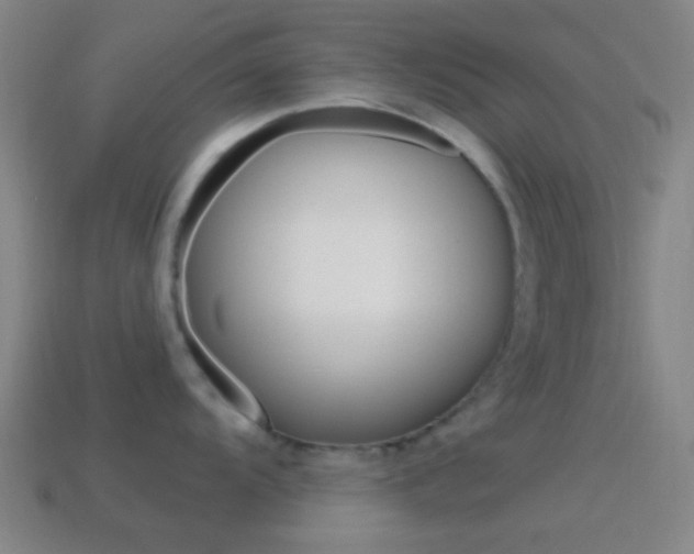 X0000114701104200910211004