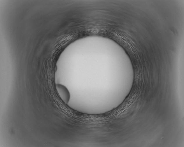 X0000114701105200910211003