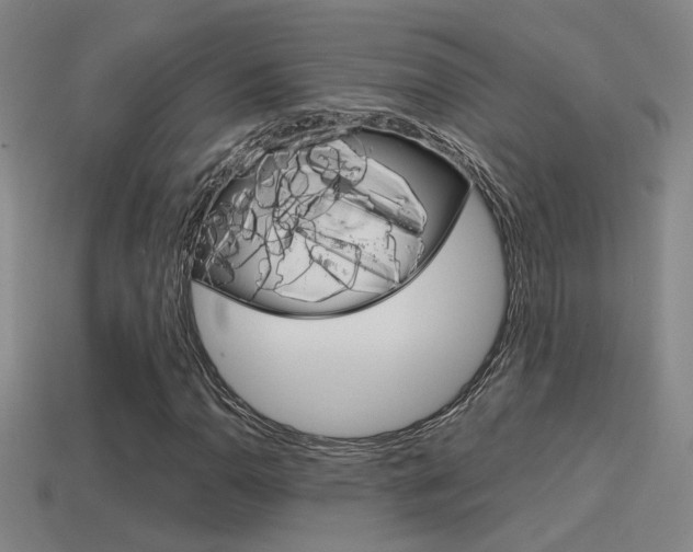 X0000114701110200910211003