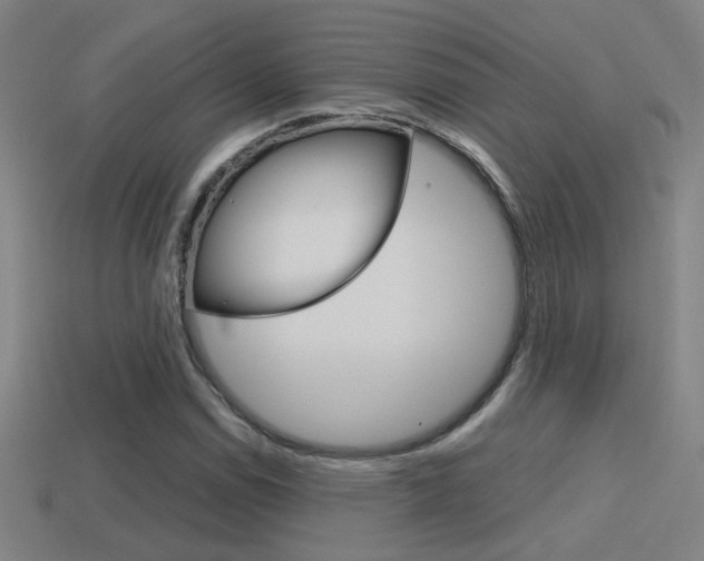X0000114701114200910211003